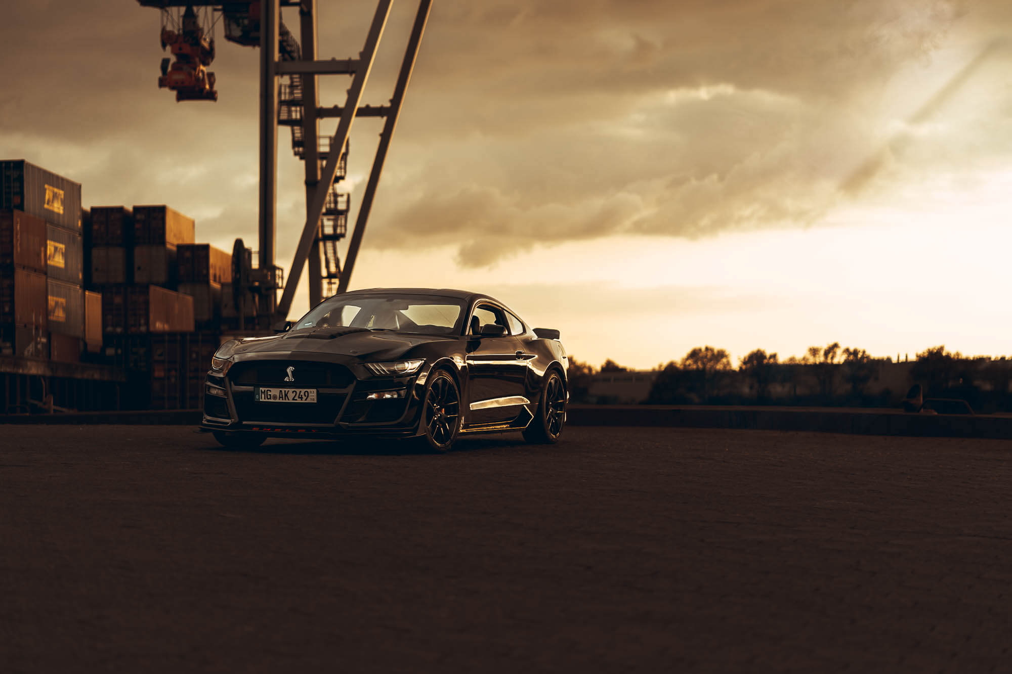 Ford Mustang Shelby Black Shadow-1 Ford Mustang Shelby Black Shadow